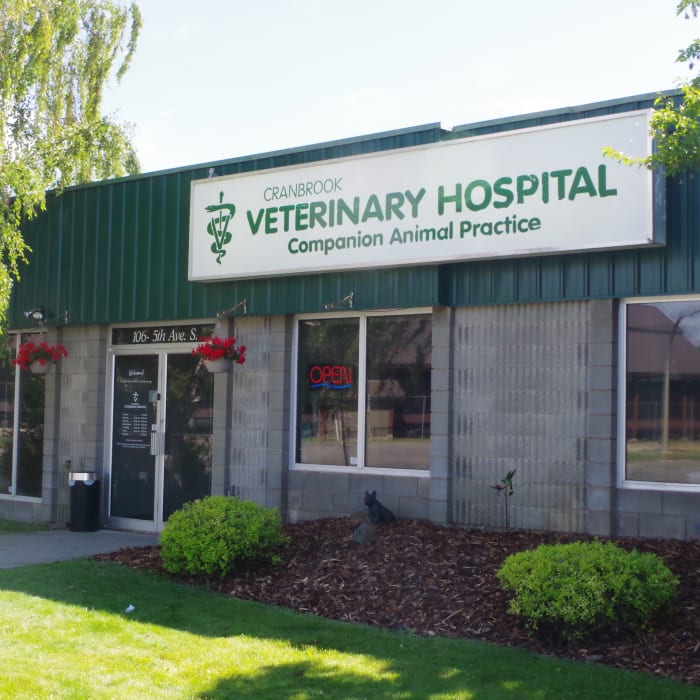 Cranbrook Veterinary Hospital in East Kootenay
