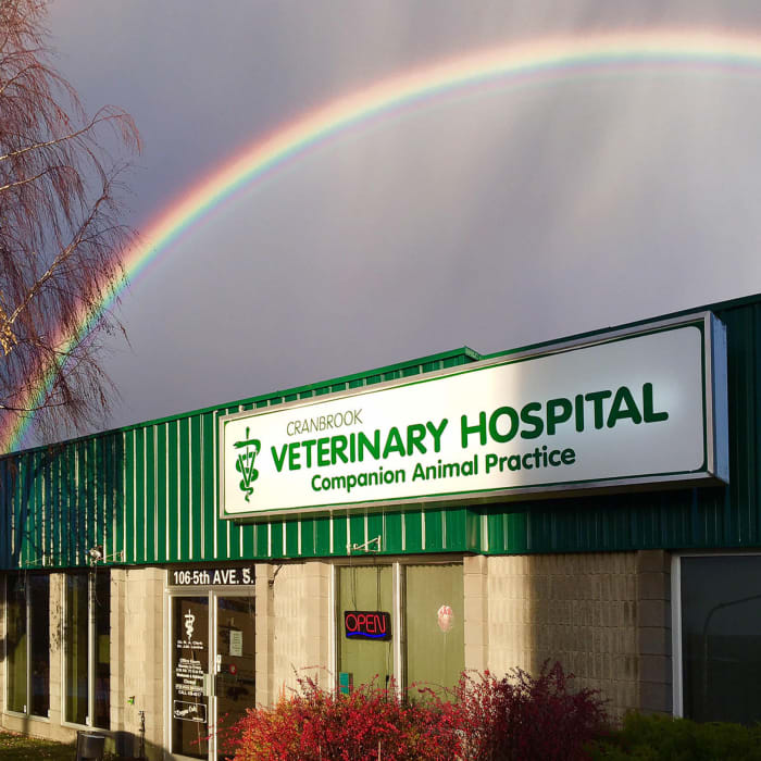 About Cranbrook Veterinary Hospital, East Kootenay GP Veterinarian